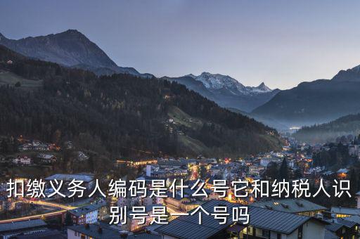 易稅門戶扣繳義務(wù)人編碼是什么，易稅門戶中扣繳義務(wù)人編碼指什么