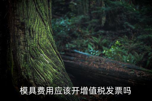 模具設(shè)計(jì)開(kāi)發(fā)費(fèi)開(kāi)什么發(fā)票，模具開(kāi)發(fā)及制造費(fèi)一般開(kāi)什么發(fā)票明細(xì)