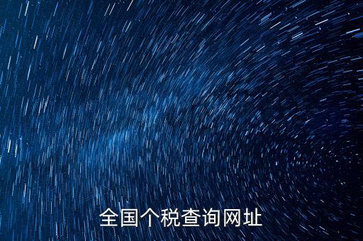 全國(guó)個(gè)稅查詢(xún)網(wǎng)址