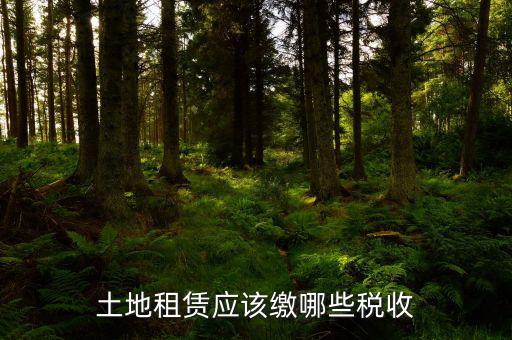 租賃政府土地交什么稅，土地使用權租賃要交哪些稅