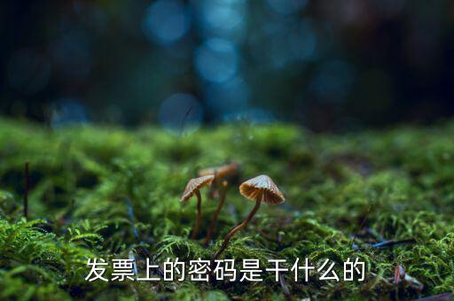 湖南汽車發(fā)票密碼是什么意思，發(fā)票上的密碼是做什么用的啊