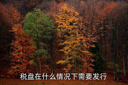 稅控盤變更發(fā)行是什么意思，更換稅控盤需要什么