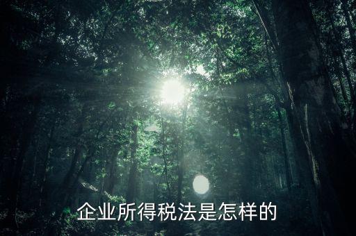 什么是企業(yè)所得稅法，企業(yè)所得稅法是怎樣的
