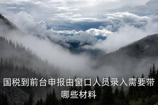 國稅到前臺申報(bào)由窗口人員錄入需要帶哪些材料