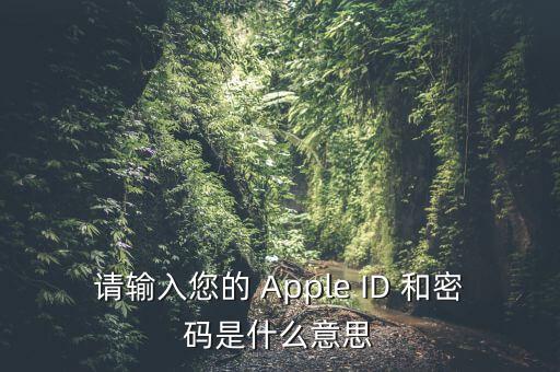 查詢個(gè)稅 密碼是輸入什么，請(qǐng)輸入您的 Apple ID 和密碼是什么意思