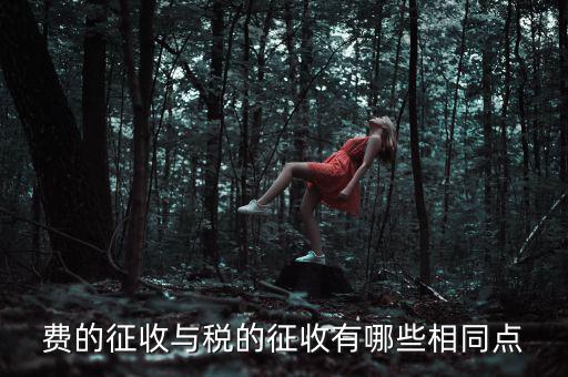 稅與費(fèi)有什么區(qū)別 稅收具有，費(fèi)的征收與稅的征收有哪些相同點(diǎn)