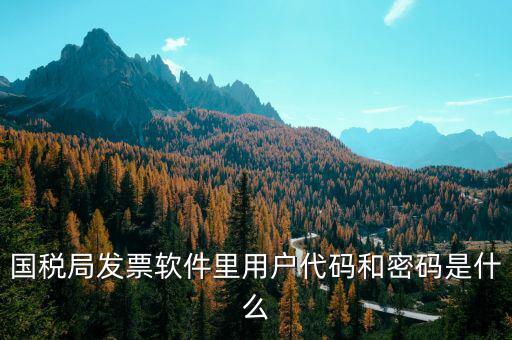 湖南汽車發(fā)票密碼是什么，國稅局發(fā)票軟件里用戶代碼和密碼是什么