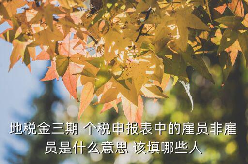 雇員納稅人是什么意思，地稅金三期 個(gè)稅申報(bào)表中的雇員非雇員是什么意思 該填哪些人