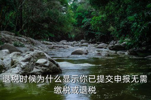 退稅時(shí)候?yàn)槭裁达@示你已提交申報(bào)無(wú)需繳稅或退稅