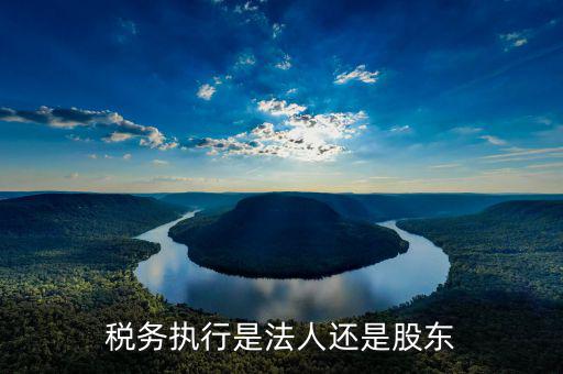 稅收政策執(zhí)行是干什么的，稅務(wù)執(zhí)行是法人還是股東