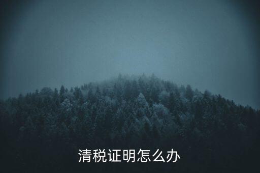 稅務(wù)無(wú)紙化辦公要什么材料，清稅證明怎么辦