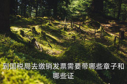 繳銷(xiāo)出口商品統(tǒng)一發(fā)票要蓋什么章，到國(guó)稅局去繳銷(xiāo)發(fā)票需要帶哪些章子和哪些證