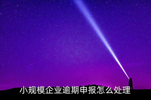 小規(guī)模納稅人如果沒有按時申報有什么后果，小規(guī)模不報稅什么后果