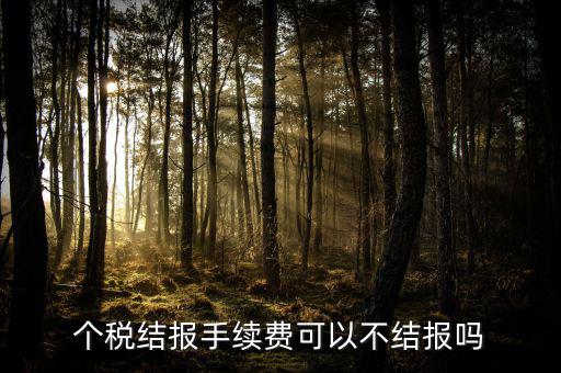 手續(xù)費結(jié)報是什么意思，請問個稅手續(xù)費申領(lǐng)具體怎么解釋啊謝謝咯