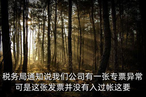 稅務(wù)局通知說我們公司有一張專票異?？墒沁@張發(fā)票并沒有入過帳這要