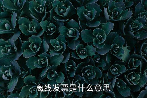 離線開票什么意思，離線發(fā)票是什么意思