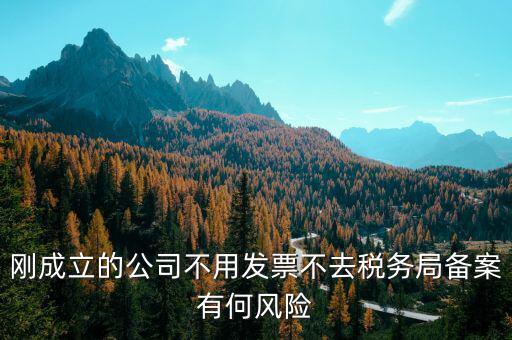 稅收備案制有什么風(fēng)險，稅收政策變化導(dǎo)致中小企業(yè)的風(fēng)險有哪些