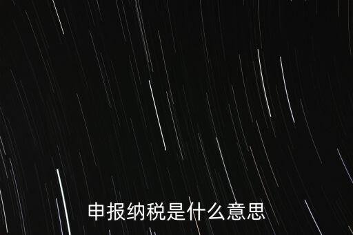 通用申報(bào)稅是什么，非稅收入通用申報(bào)表是什么稅