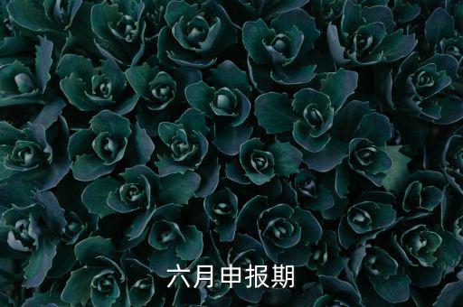 6月申報(bào)期是什么意思，個(gè)人所得稅申報(bào)期是每月15號(hào)嗎