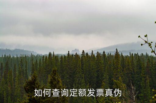 定額發(fā)票查詢的密碼是什么，如何查詢定額發(fā)票真?zhèn)?/></a></span><span id=