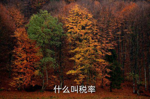 什么叫增值稅稅率，增值稅普通發(fā)票的稅率是什么意思