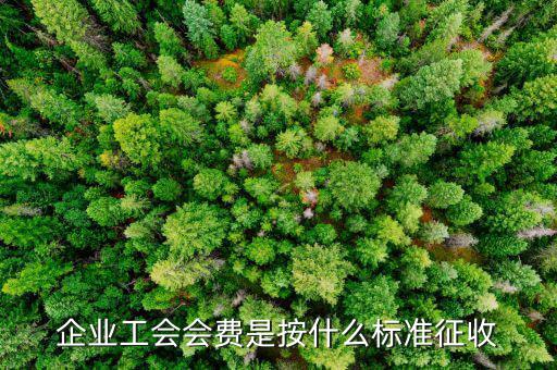 企業(yè)工會會費是按什么標(biāo)準(zhǔn)征收