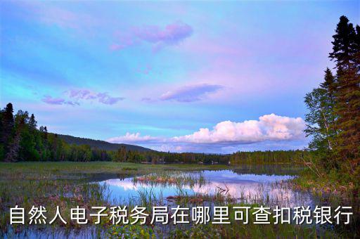 電子稅務(wù)局銀行端查詢什么，天津電子稅務(wù)局如何查詢銀行賬戶備案信息