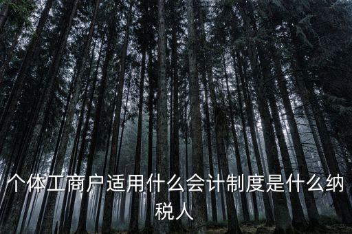 個(gè)體戶屬于什么納稅人，從事縫紉業(yè)務(wù)的個(gè)體戶屬于哪一類(lèi)納稅人
