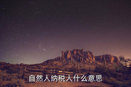 什么是自然人辦稅，自然人納稅人什么意思