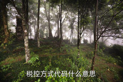 什么叫稅控碼，稅控方式代碼什么意思