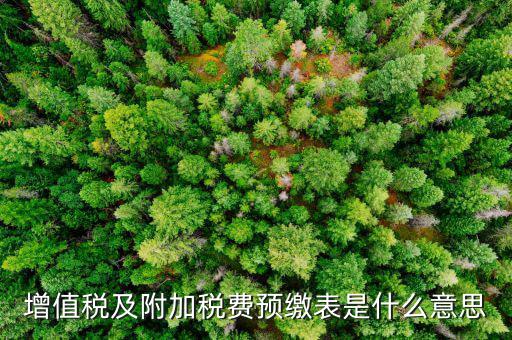 增值稅預(yù)繳稅款表是什么，增值稅及附加稅費(fèi)預(yù)繳表是什么意思