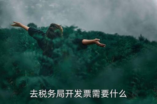 常州國稅認證發(fā)票需要帶什么手續(xù)，去國稅認證發(fā)票需要帶什么資料
