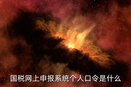 國稅證書口令是什么意思，網(wǎng)上申報國稅系統(tǒng)登陸的口令是什么