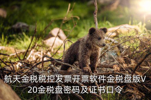 新稅盤證書(shū)口令是什么，金稅盤初始密碼和口令是多少