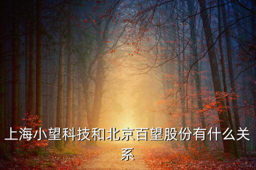 百望跟百旺有什么關(guān)系，上海小望科技和北京百望股份有什么關(guān)系