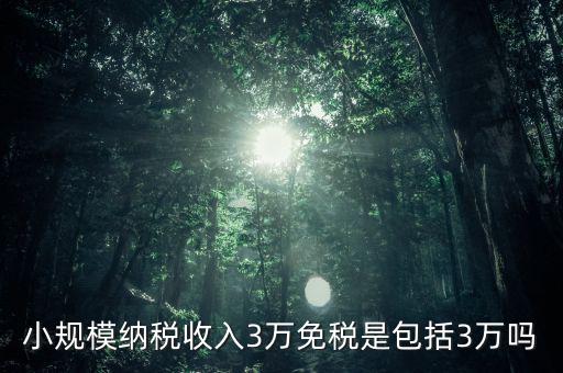 3萬(wàn)免稅是指什么，小規(guī)模納稅收入3萬(wàn)免稅是包括3萬(wàn)嗎