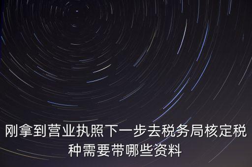 湖北國(guó)稅增加稅種需要帶什么資料，企業(yè)報(bào)稅種需要帶什么資料