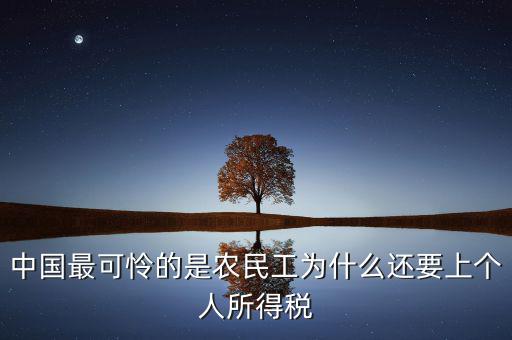 中國最可憐的是農(nóng)民工為什么還要上個(gè)人所得稅