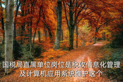 稅收信息化崗位做什么，信息化在稅務(wù)管理中有什么作用