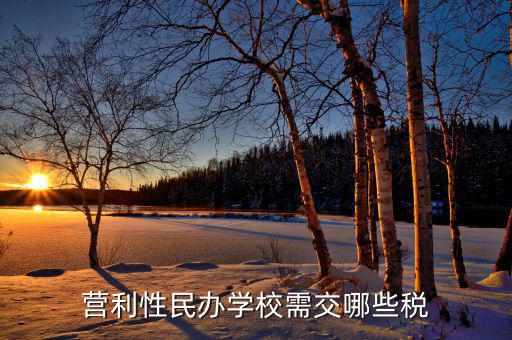學校要交什么稅，營利性民辦學校需交哪些稅