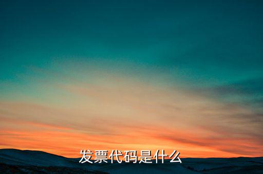 開(kāi)發(fā)票六位代碼是什么，增值稅專用發(fā)票6位開(kāi)票代碼是什么意思