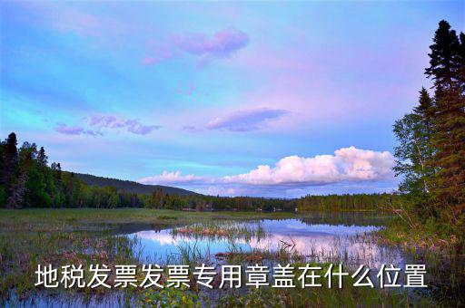 發(fā)票專(zhuān)用章蓋在什么地方，發(fā)票專(zhuān)用章要印在發(fā)票哪個(gè)地方