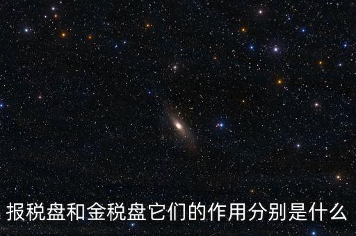 報稅盤做什么用的，報稅盤和金稅盤它們的作用分別是什么