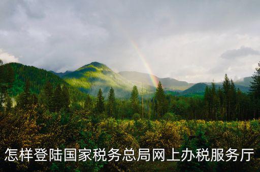 稅務(wù)局登錄什么瀏覽器可以，怎樣登陸國(guó)家稅務(wù)總局網(wǎng)上辦稅服務(wù)廳