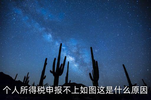 個稅申報不成功什么原因，個人所得稅申報不上如圖這是什么原因