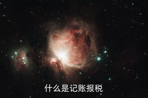 報(bào)稅記錄是指什么，報(bào)稅是什么意思 報(bào)稅的含義