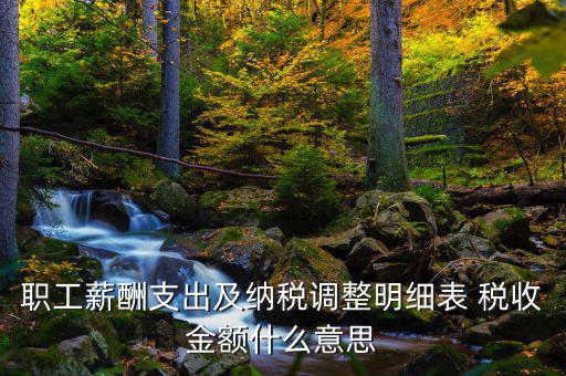 什么是納稅調(diào)整金額，職工薪酬支出及納稅調(diào)整明細(xì)表 稅收金額什么意思