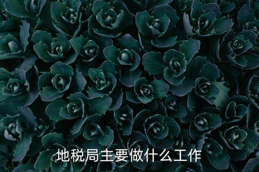 地稅局主要管什么的，地稅局工作的主要內(nèi)容