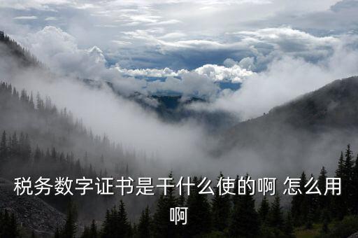 安徽國稅局數字證書是什么意思，稅務數字證書是干什么使的啊 怎么用啊