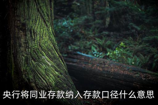 業(yè)務(wù)口徑是什么意思，銀行說的十四行口徑是什么意思